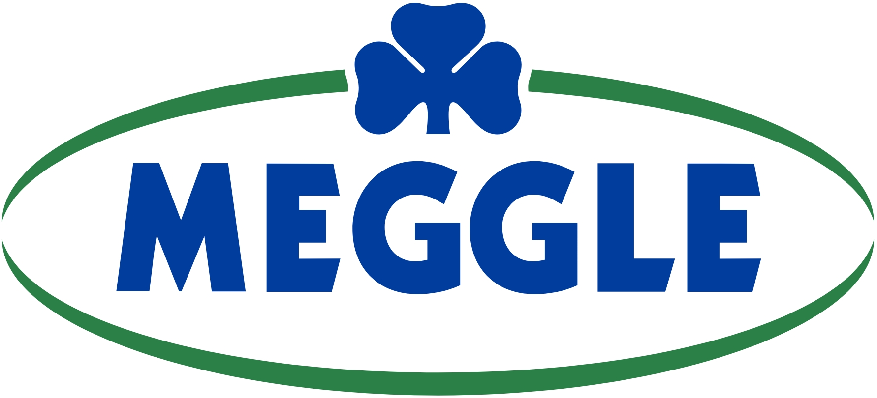 MEGGLE GmbH & Co. KG Logo